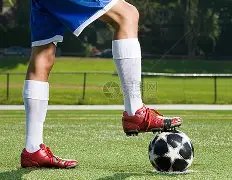 秦海璐深夜,为刘涛祝福,温馨表白,FB体育平台,FB体育官方网站,FB体育登录入口,FB体育app下载