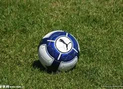 丰顺队喜提,双冠,梅州三人篮,FB体育平台,FB体育官方网站,FB体育登录入口,FB体育app下载