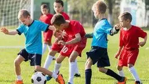 FB体育 产品 091617 vvs