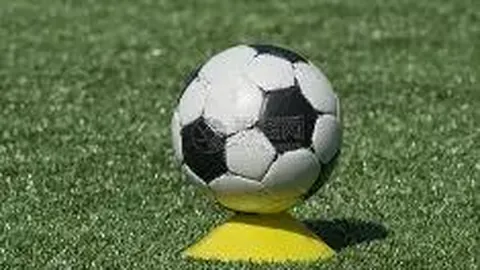 博通发布PCIe交换芯片发展蓝图：2027年迈向Gen7，2029年展望