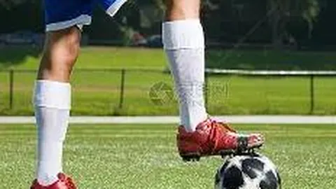 FB体育 产品 100003 ypo