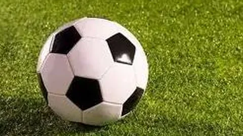 FB体育 资讯 095954 5d0